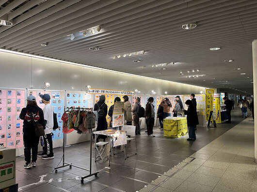 tikaho25-736.jpg