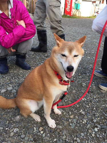 yuki1.jpg